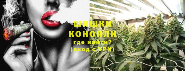 крисы Армянск