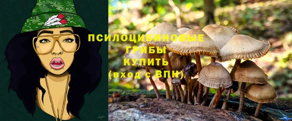 винт Арсеньев