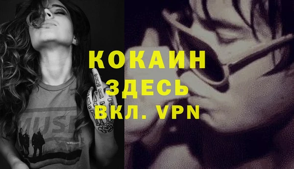 крисы Армянск