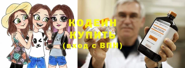 крисы Армянск